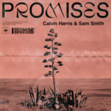 Cover: Promises - Calvin Harris ft. Sam Smith